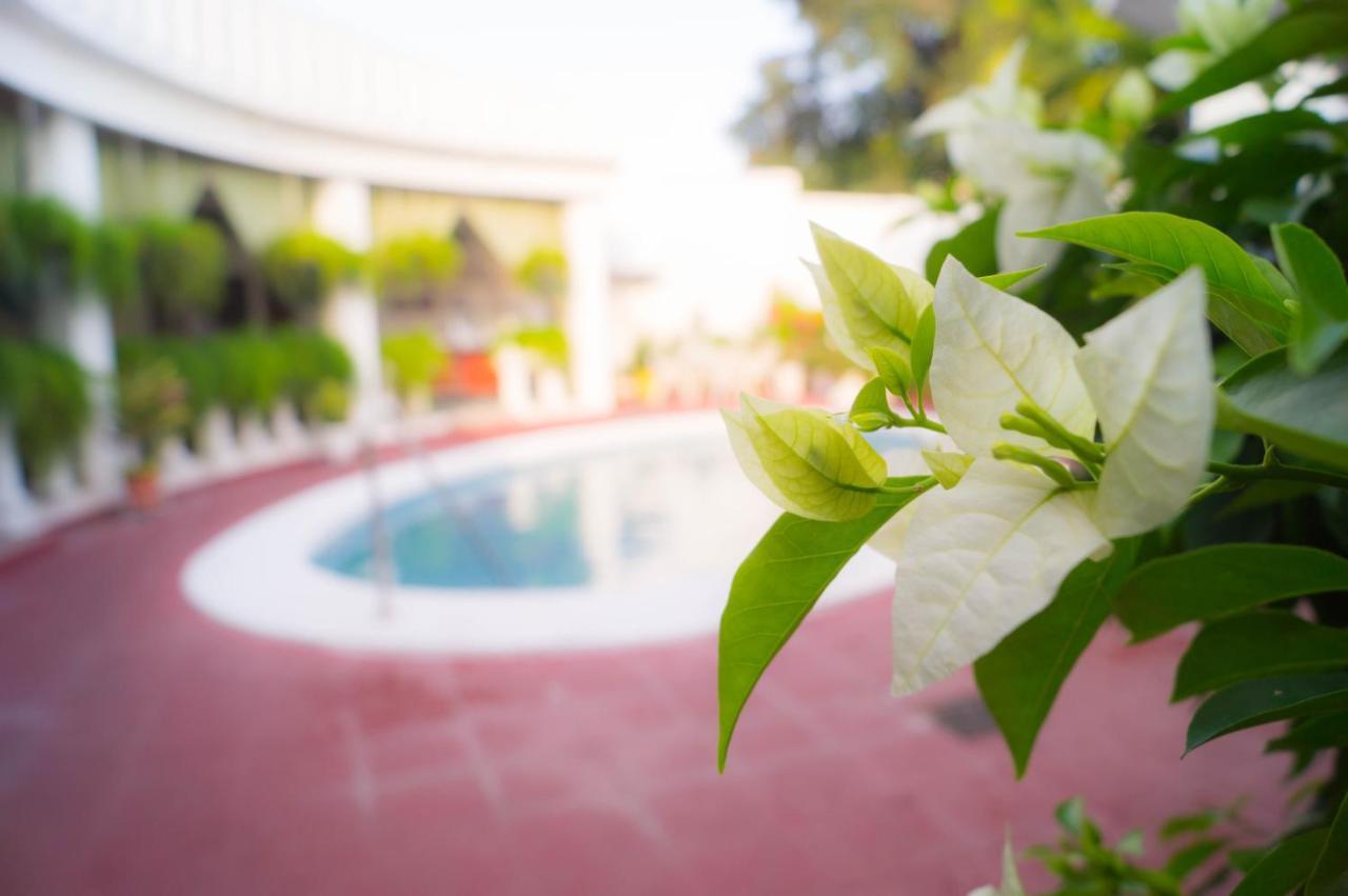 Hotel Grecia Real サンサルバドル エクステリア 写真